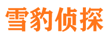 复兴侦探公司